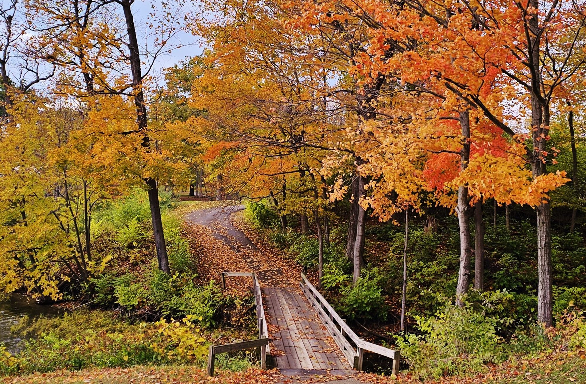 571739577_1384424980350618_7788954413423065947_n