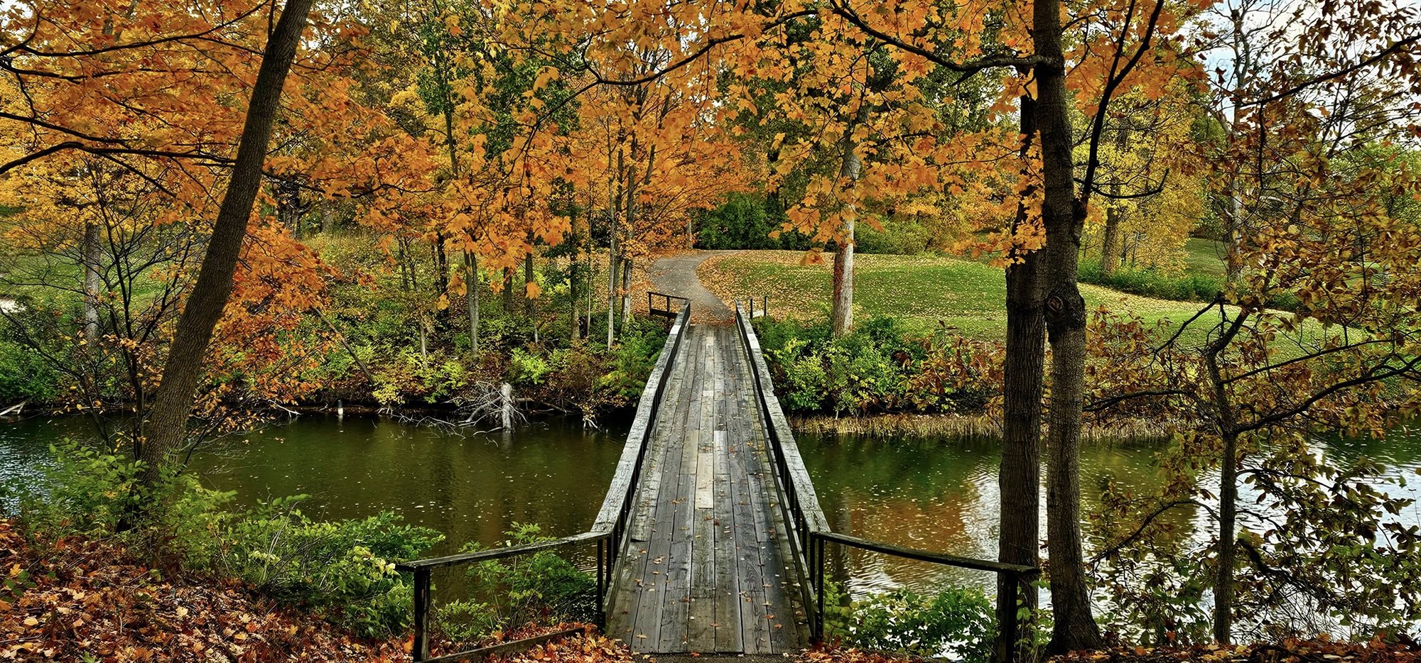 574063801_1384446327015150_4278567197911348943_n